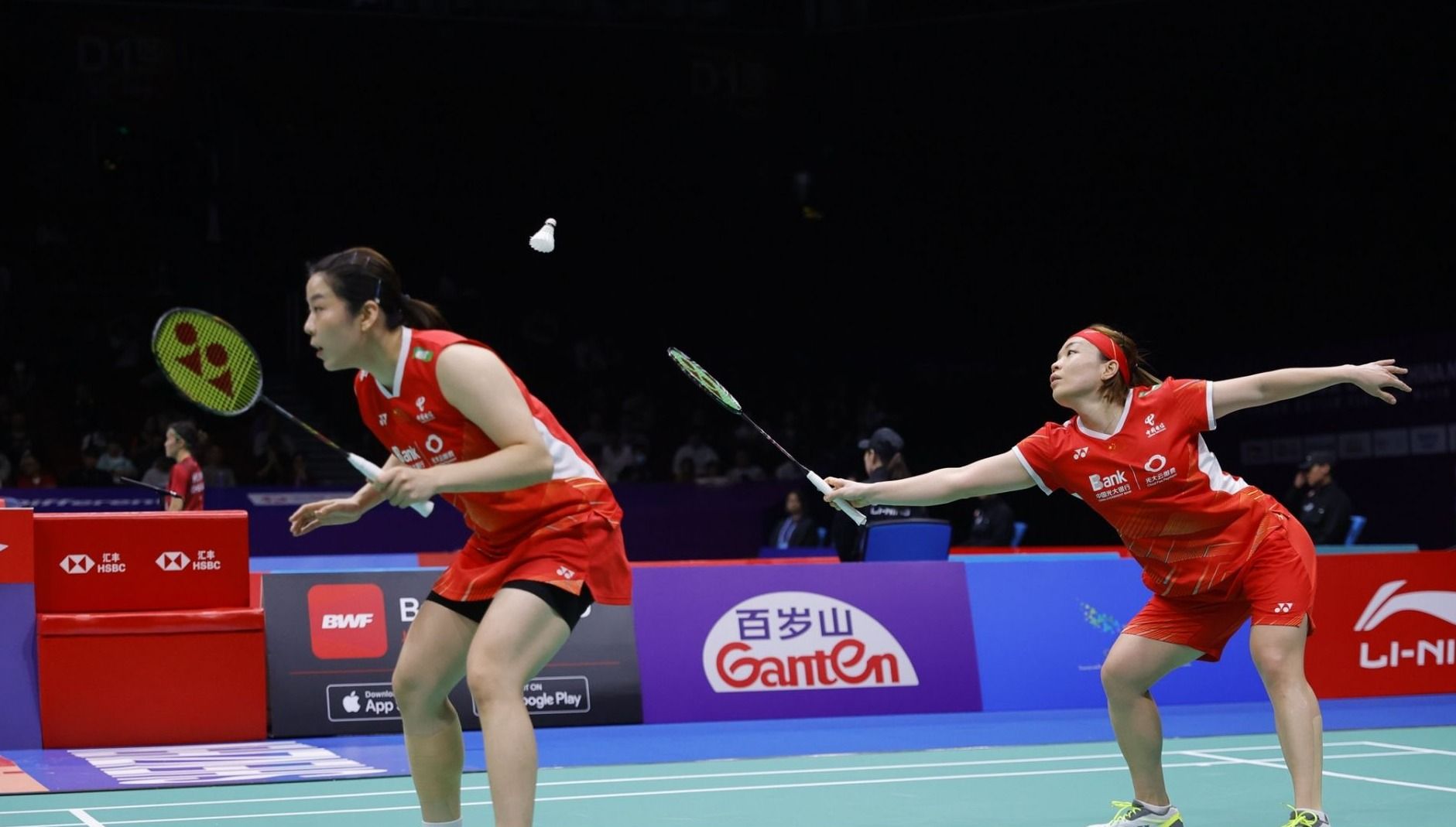 纽约的球迷 纽约的球迷